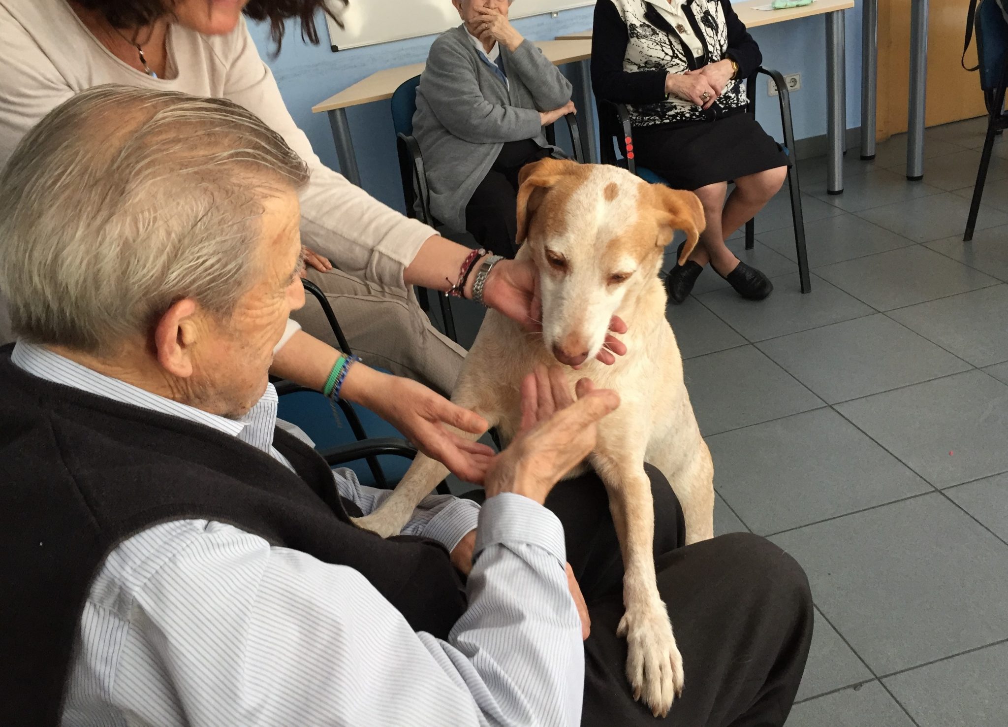 Teràpia amb gossos i persones amb Alzheimer